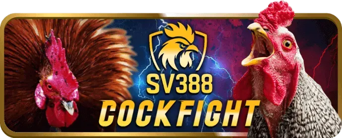 Cá cược Thể thao mamba123
